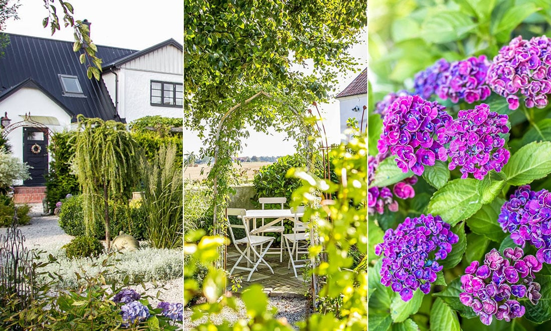 Kika in den vackra trädgården som liknar en slottspark