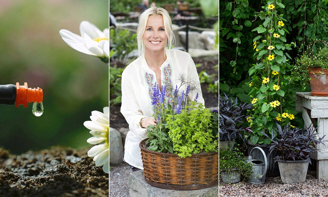Victoria Skoglunds bästa tips för att vattna smart och hållbart i trädgården