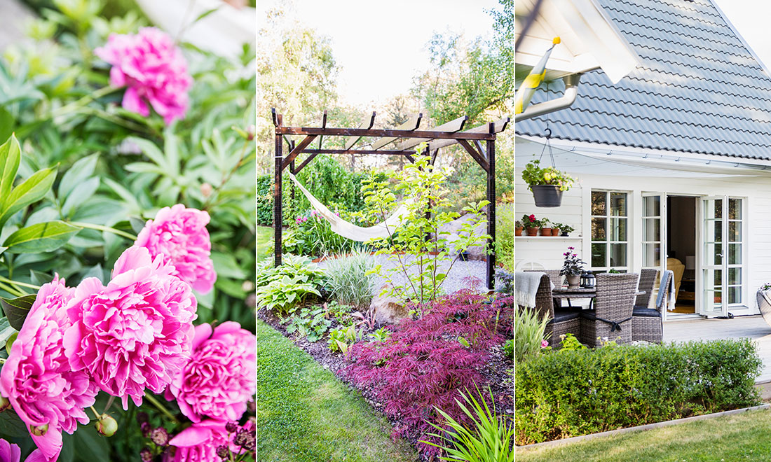 Skapa en trädgård inspirerad av feng shui – expertens bästa tips