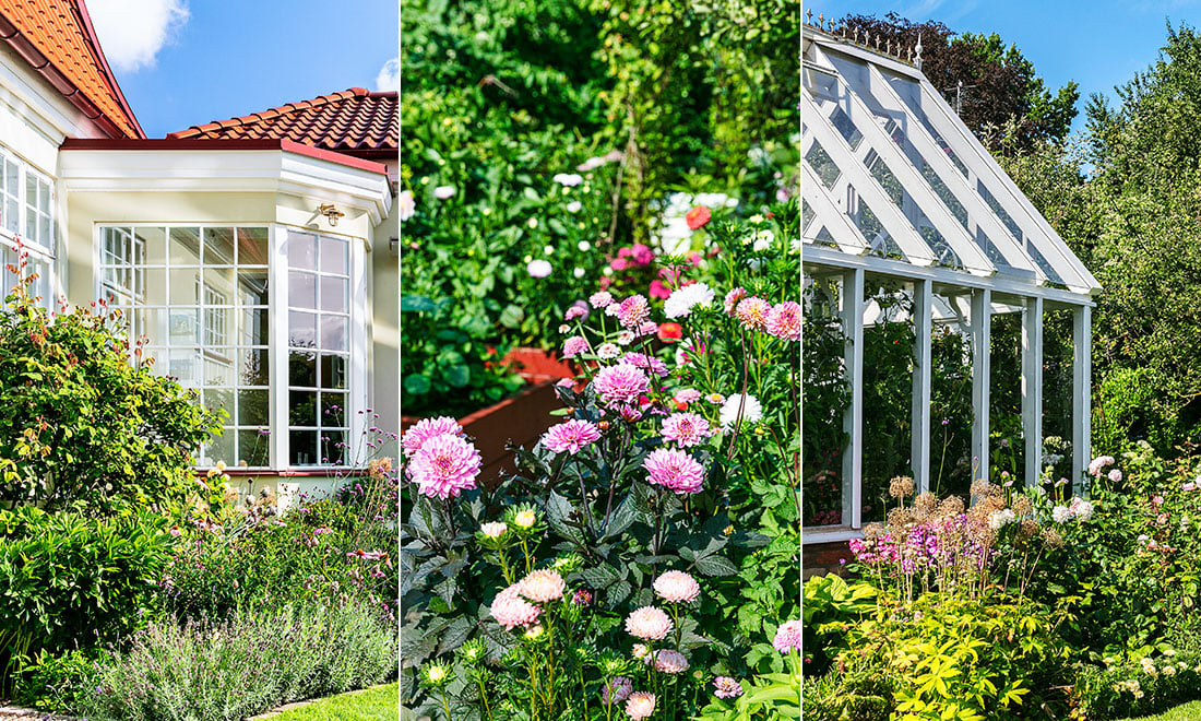 Skapa en grönskande mormorsträdgård – växterna att satsa på