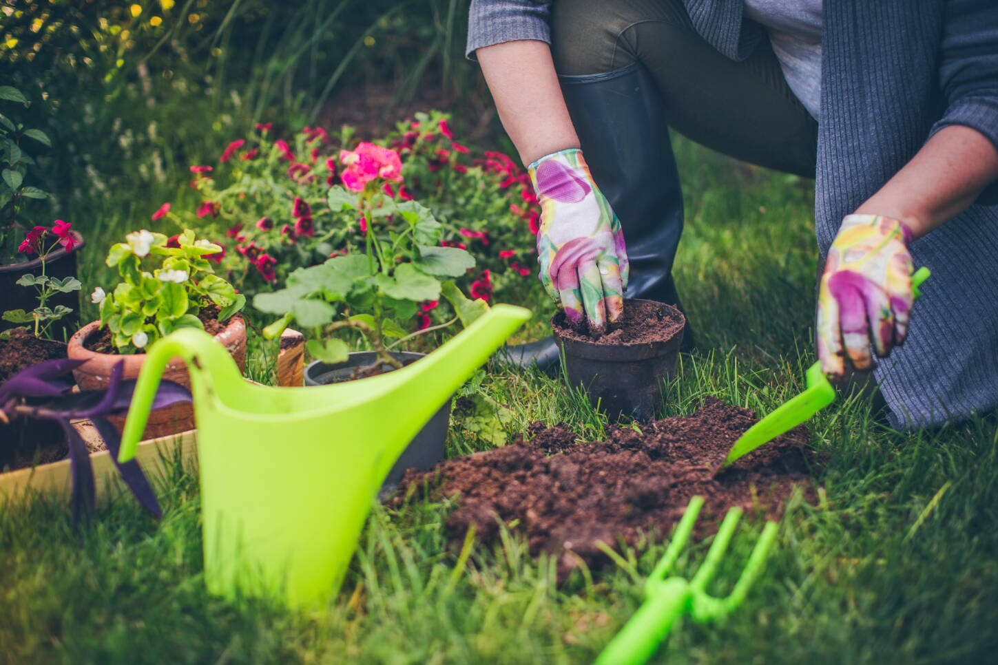 Bevisat: Människor med gröna fingrar är snällare än andra