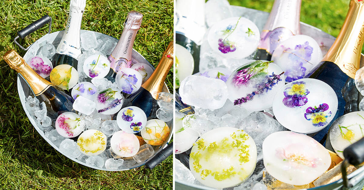 Skapa blommiga isbitar