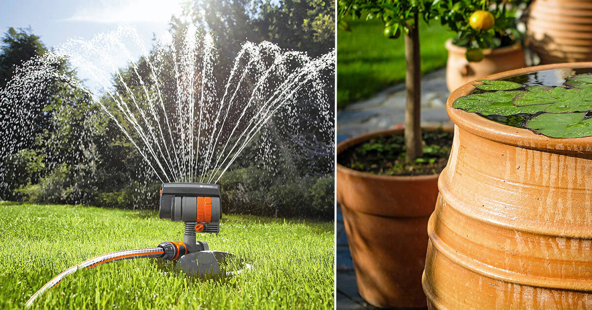 Fin trädgård med automatik – välj rätt typ av bevattning