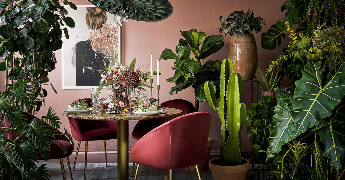 Stylisten tipsar: Så här festdukar du med blommor i jul