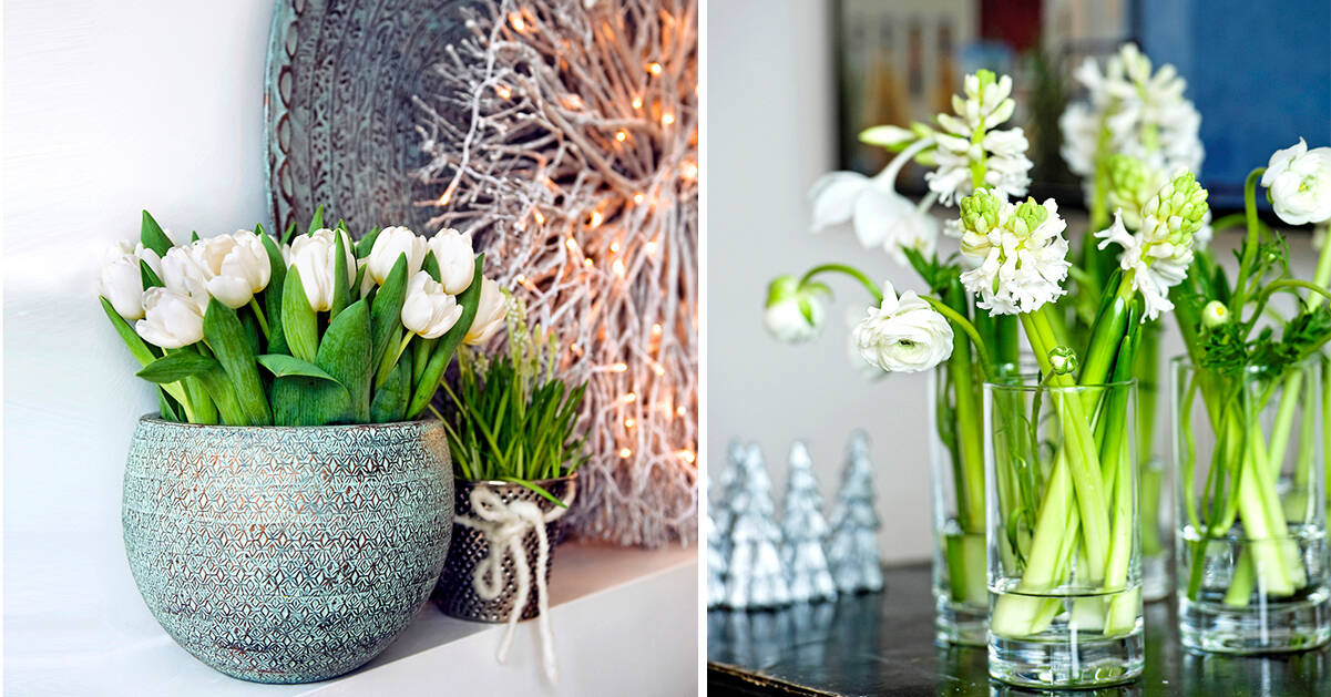 7 tips för vackra blomarrangemang med vinterkänsla