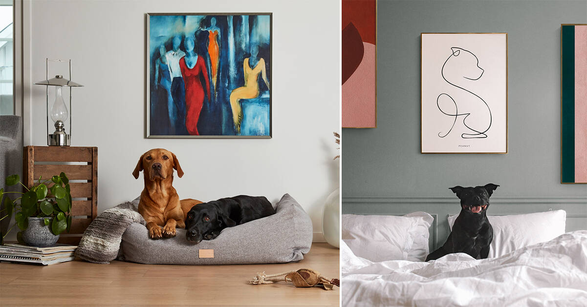 10 fina inredningsprylar till din hund – och dig själv
