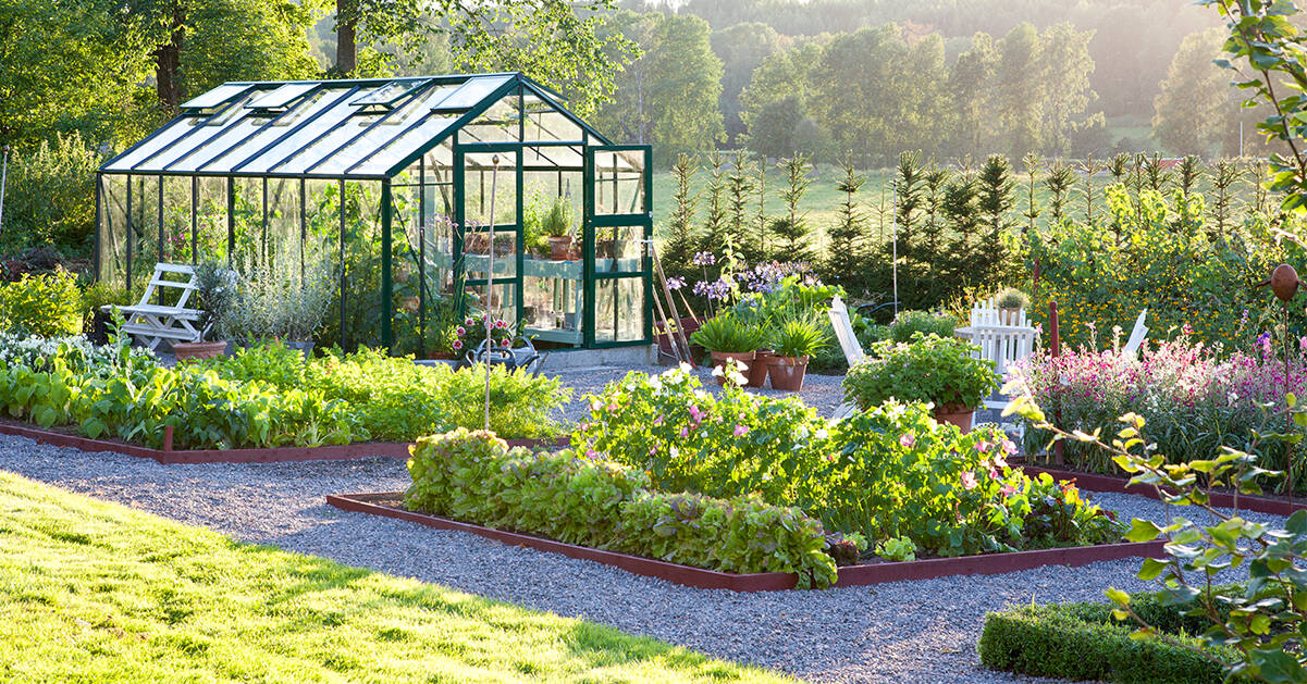 Missa inte: Stora trädgårdsdagen 2019 med trendspaningar och höns