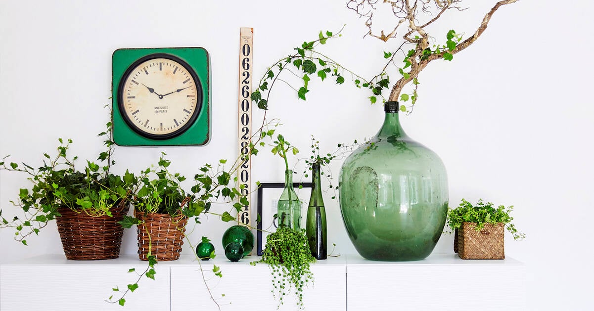 9 sätt att inreda med växter – som du (kanske) inte testat förut