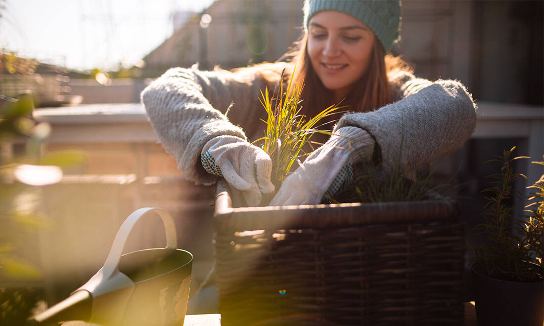 Forskare: I framtiden odlar vi mat i garaget och har bikupor på taket