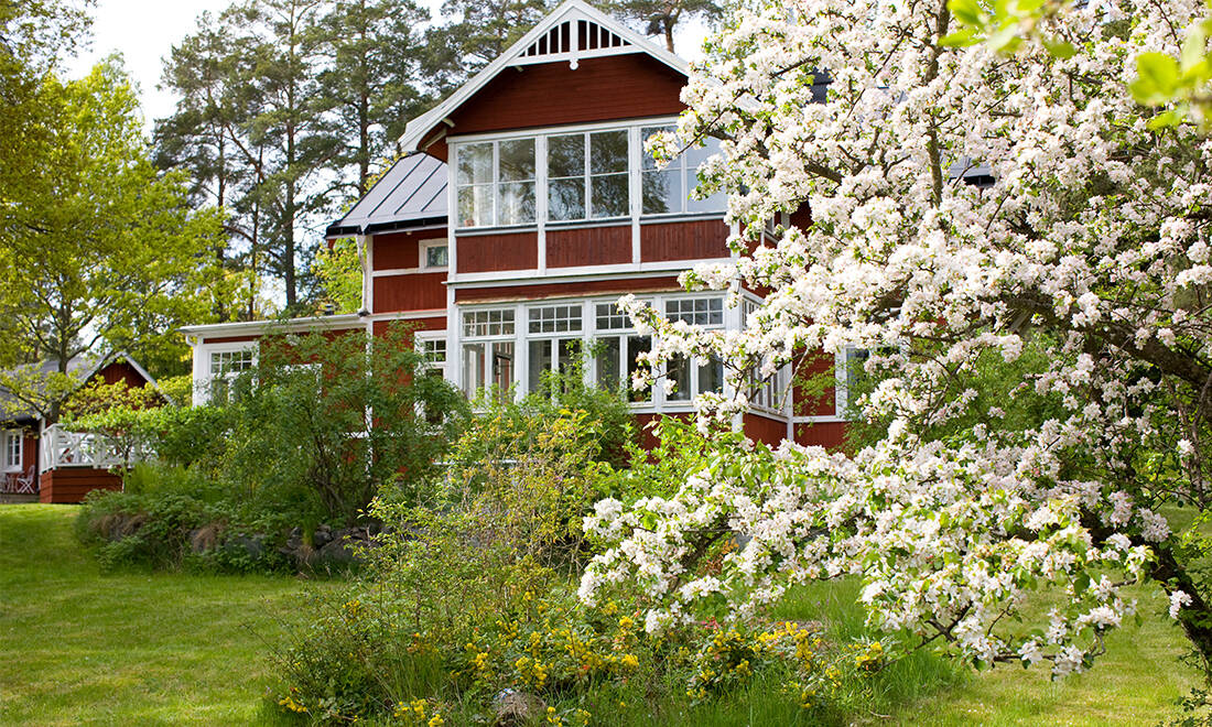 5 torparblommor som ger vårlycka