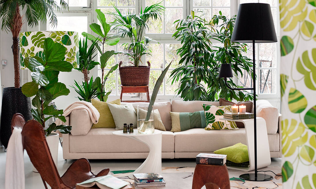Inred med gröna växter – så mår du bättre