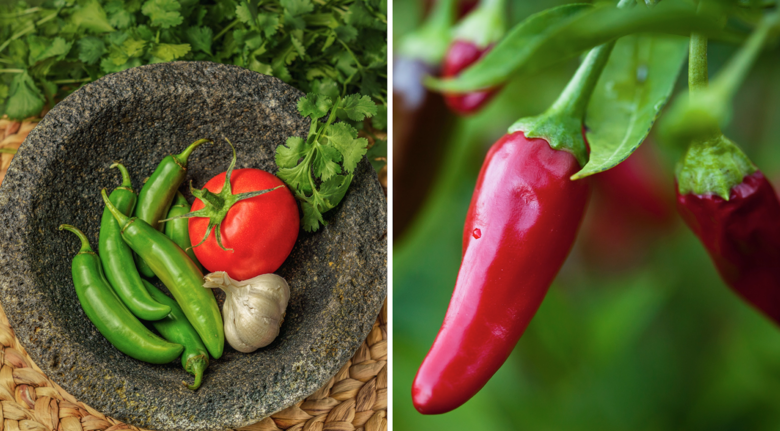 Hetta upp sommaren med chili