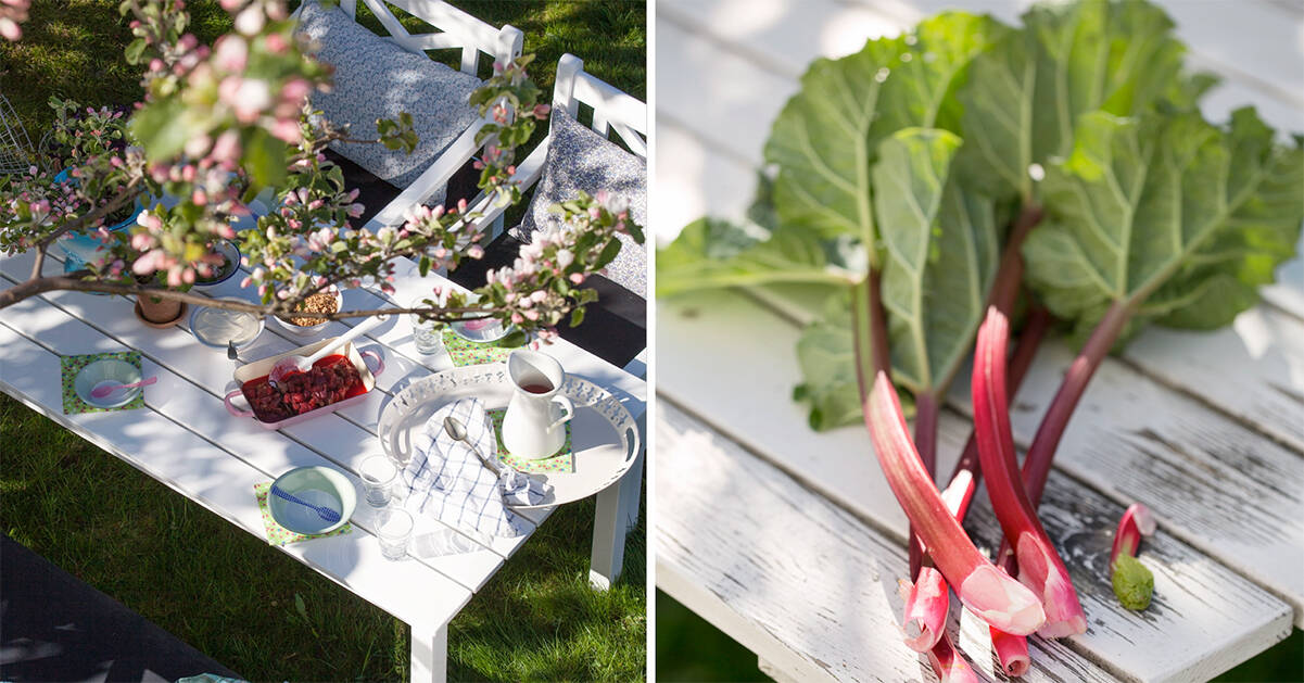 Duka upp till vårfika under äppelträdet