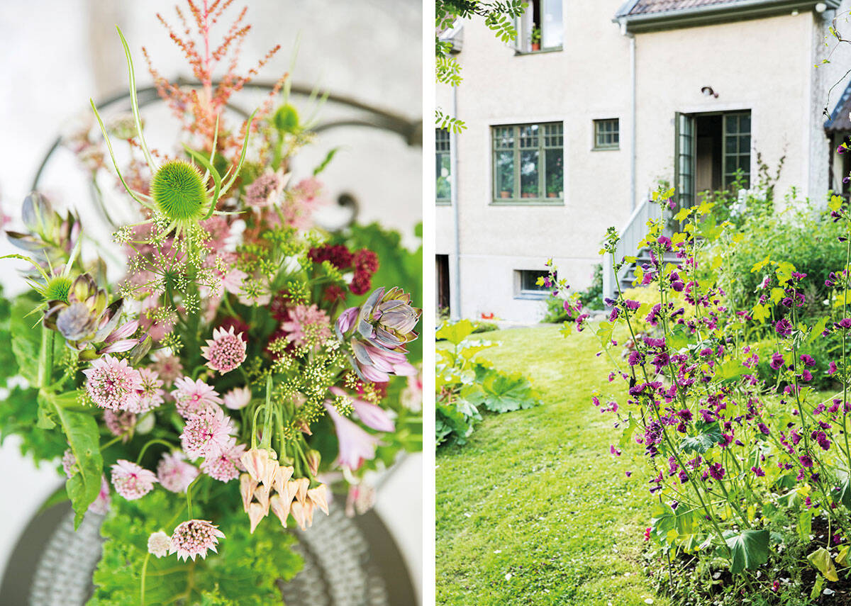 Rabatter gjorda för buketter – så skapar du härliga buketter med blommor från din trädgård