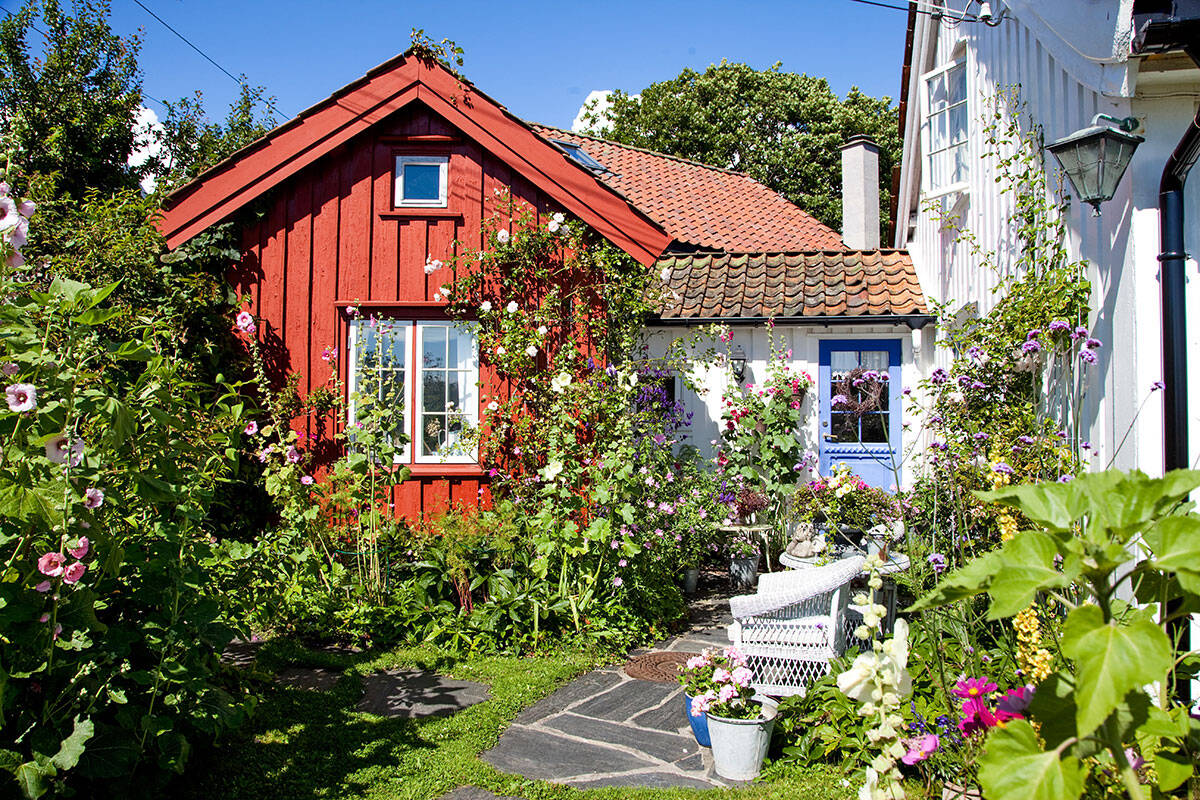 7 tips för en lantligt vild trädgård