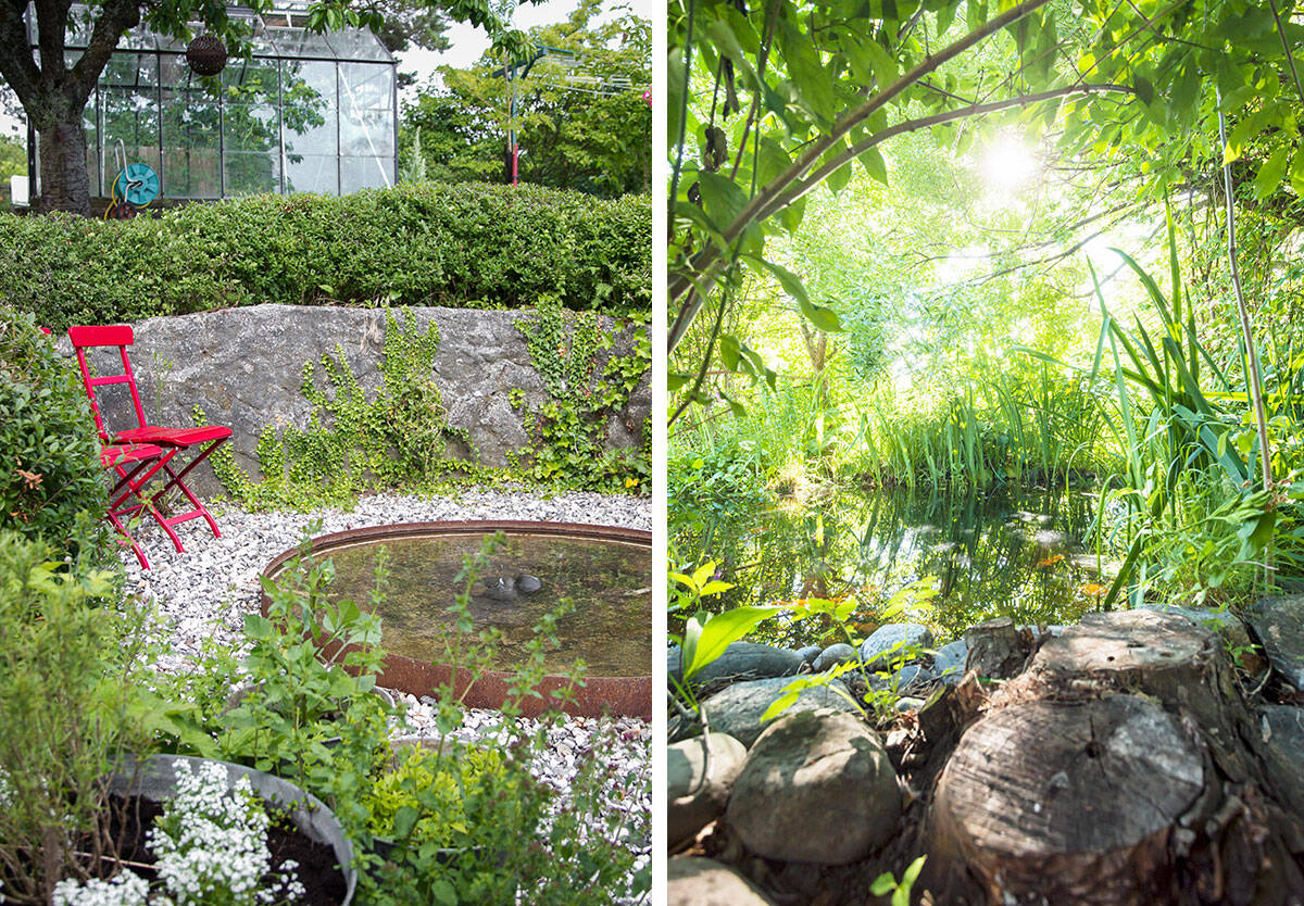 Så bygger du en damm i trädgården