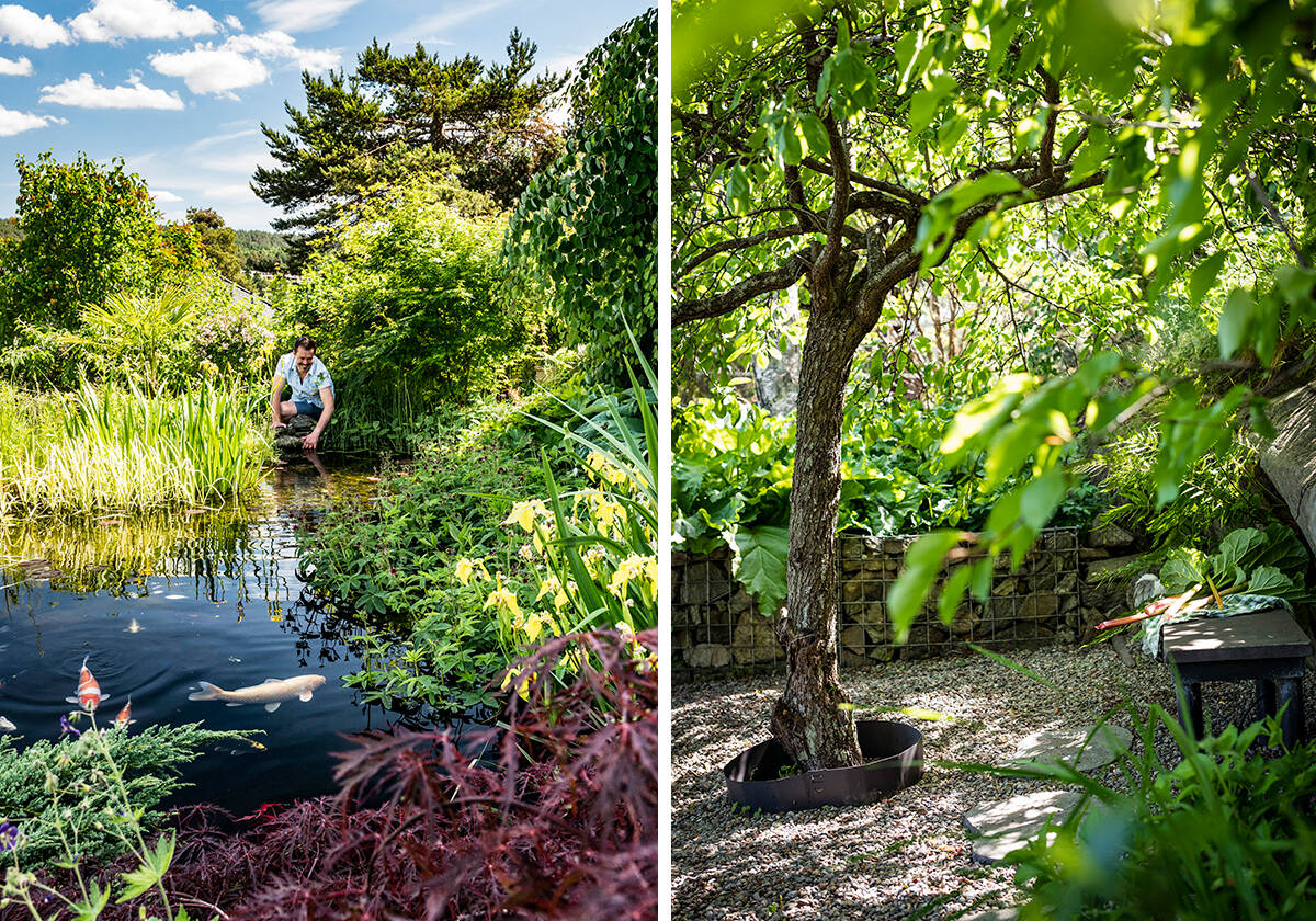 Lummig trädgård med vackra och sällsynta växter
