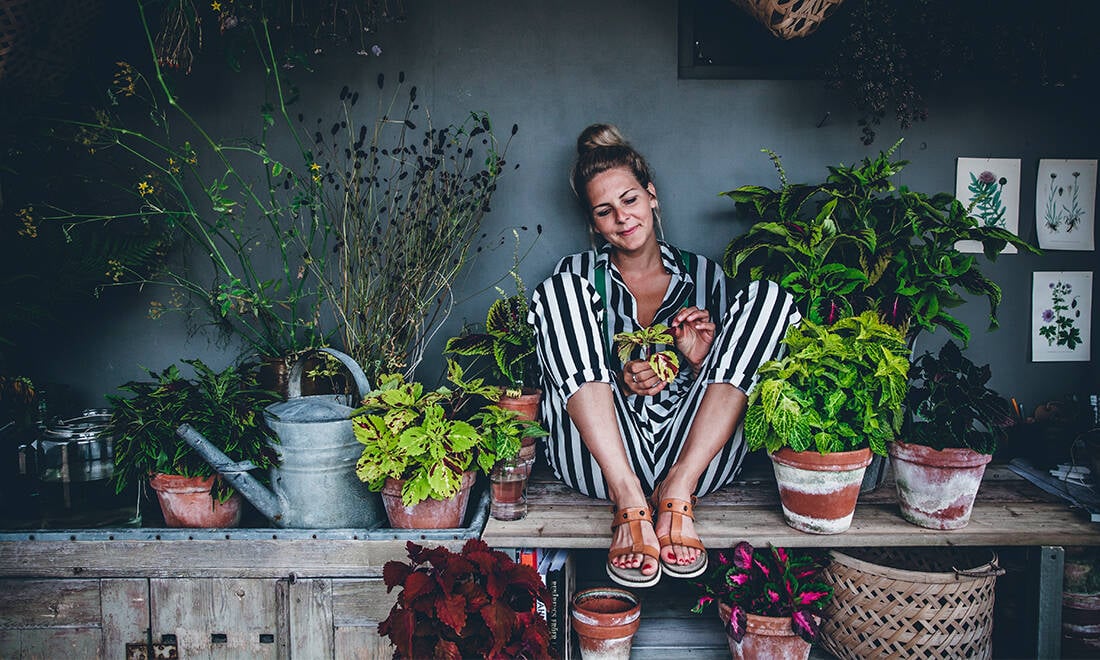 8 skötselråd – så lyckas du med palettblad