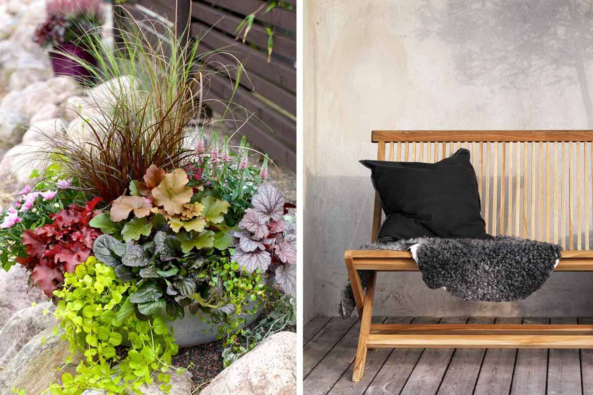 6 steg till en höstträdgård att njuta av