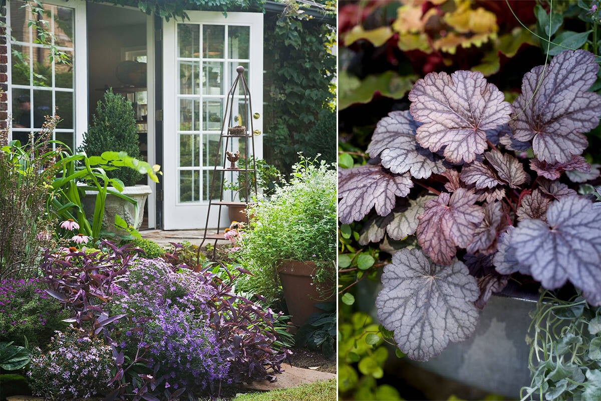 Höstplantering – här är växterna som tål kylan!