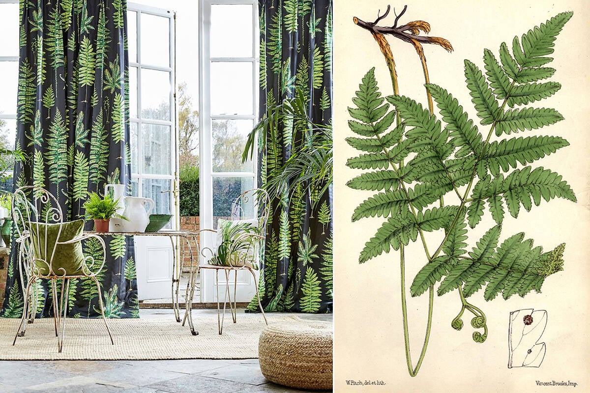 Njut av ormbunkar året om! Här är inspirationen