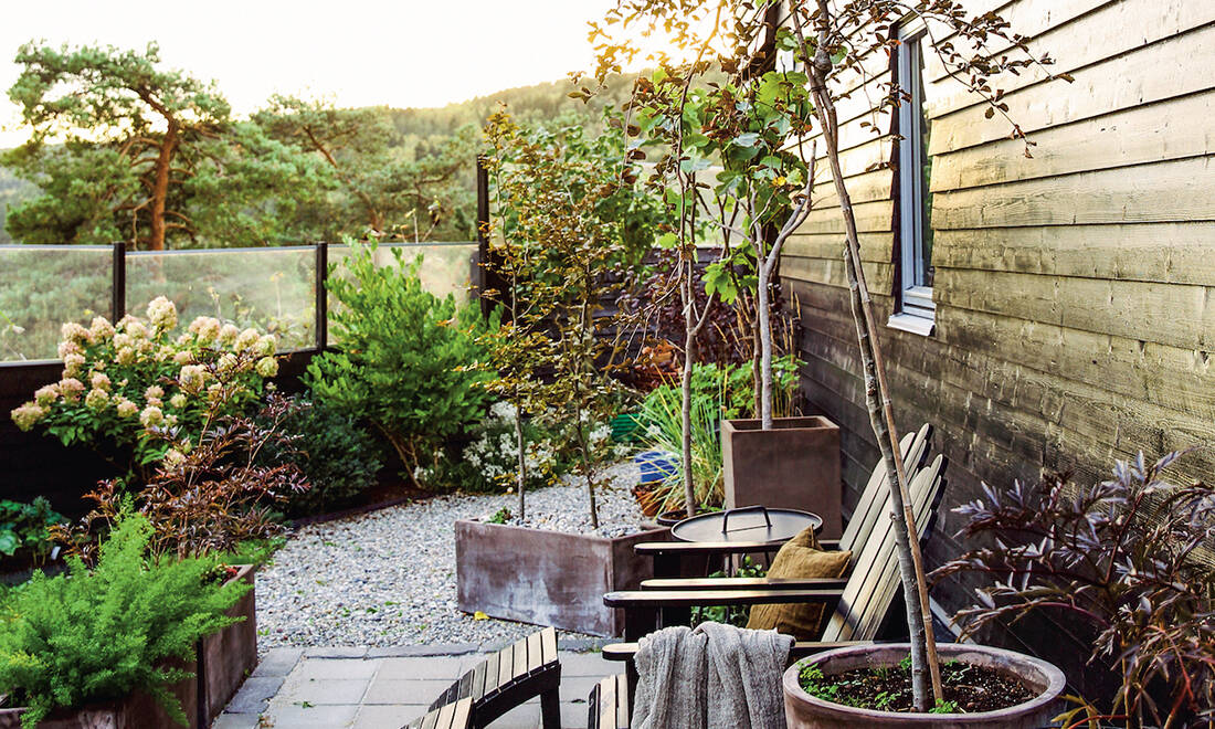 4 tips för en riktigt härlig höstträdgård