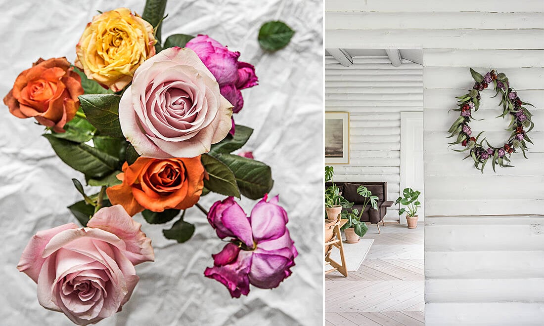 Lys upp ditt hem med rosor i höst – 6 inspirerande tips