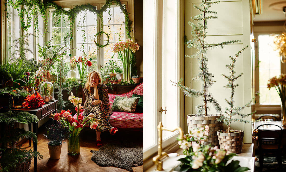 Frida Fahrman och Lisa Bengtsson tolkar julen med växter – se bilderna här!