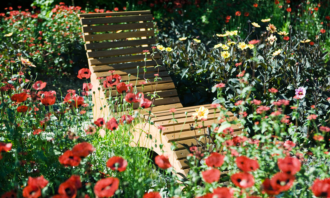 Forskare: En vildvuxen trädgård kan vara bättre för din hälsa än en prydlig