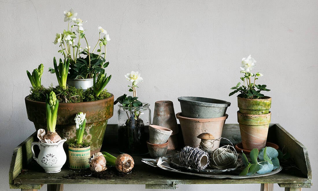 8 tips för hur du dekorerar stilfullt med vitt och grönt i jul