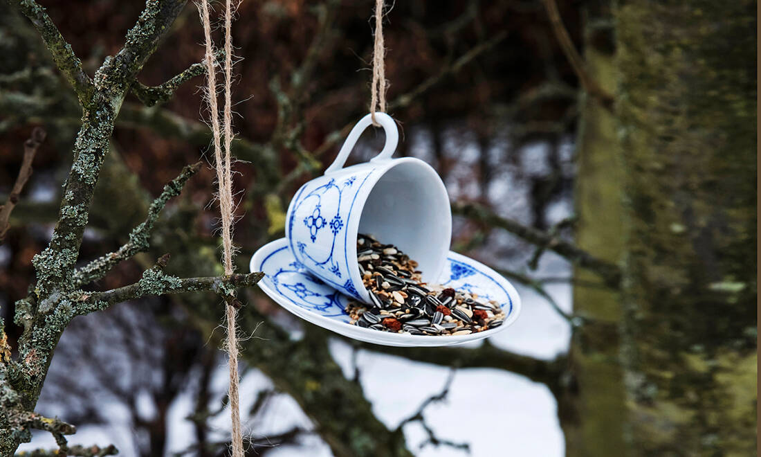 Hjälp fåglarna i vinter – så lätt gör du finaste fågelmataren