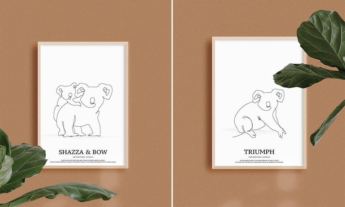 Klicka hem en snygg poster – och hjälp koalorna i Australien