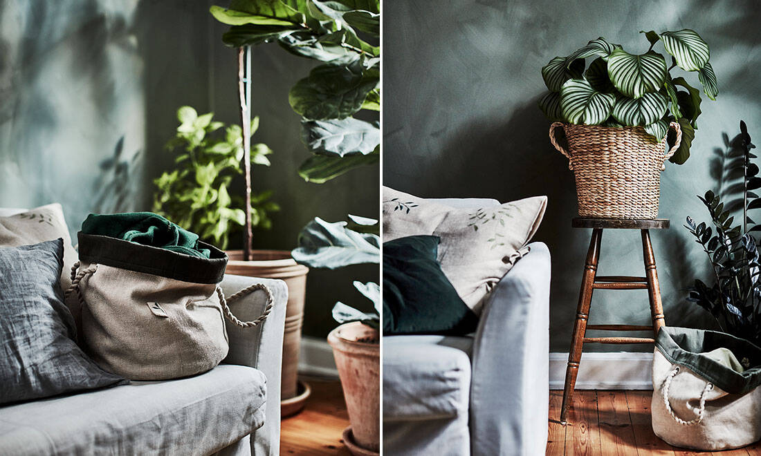 Ikea lanserar kollektionen botanisk – för hemmaodlare