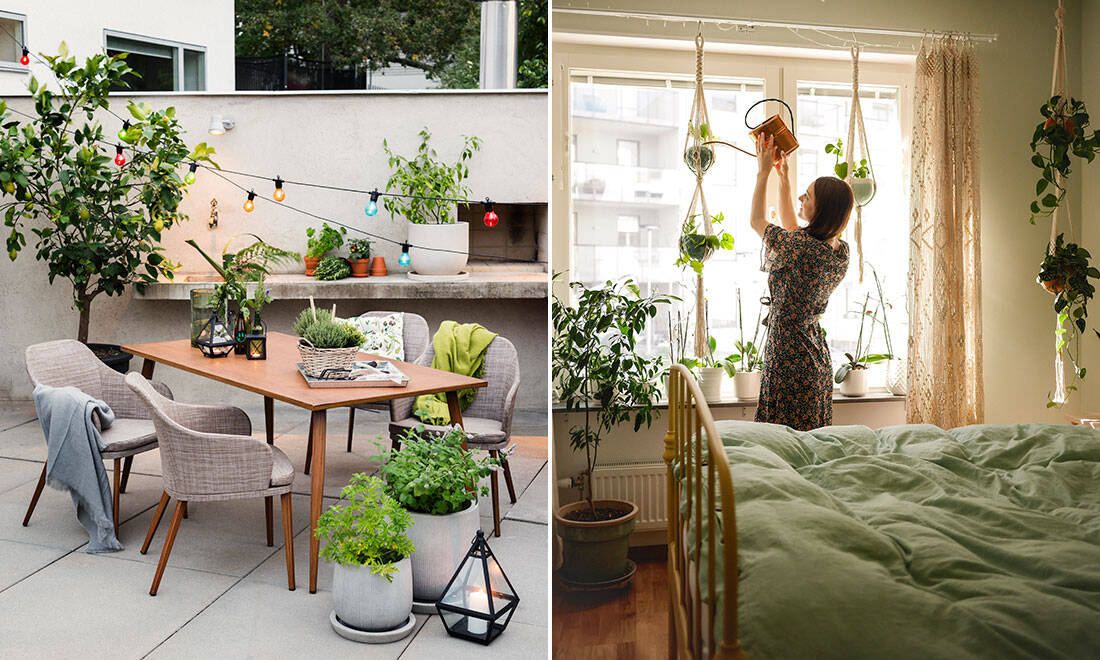 4 stora trädgårdstrender 2020