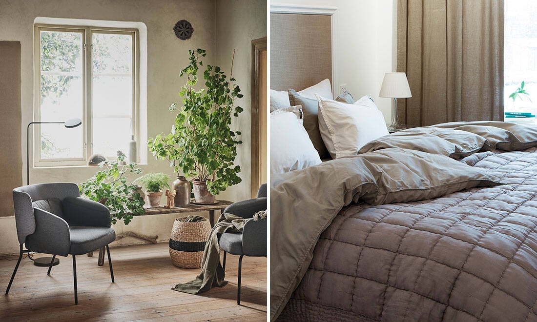 Så får du renare luft hemma – 6 tips