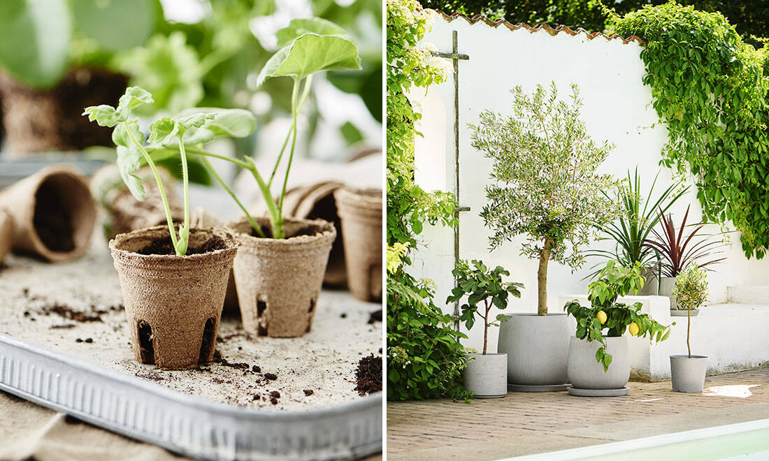 4 stora trädgårdstrender 2021