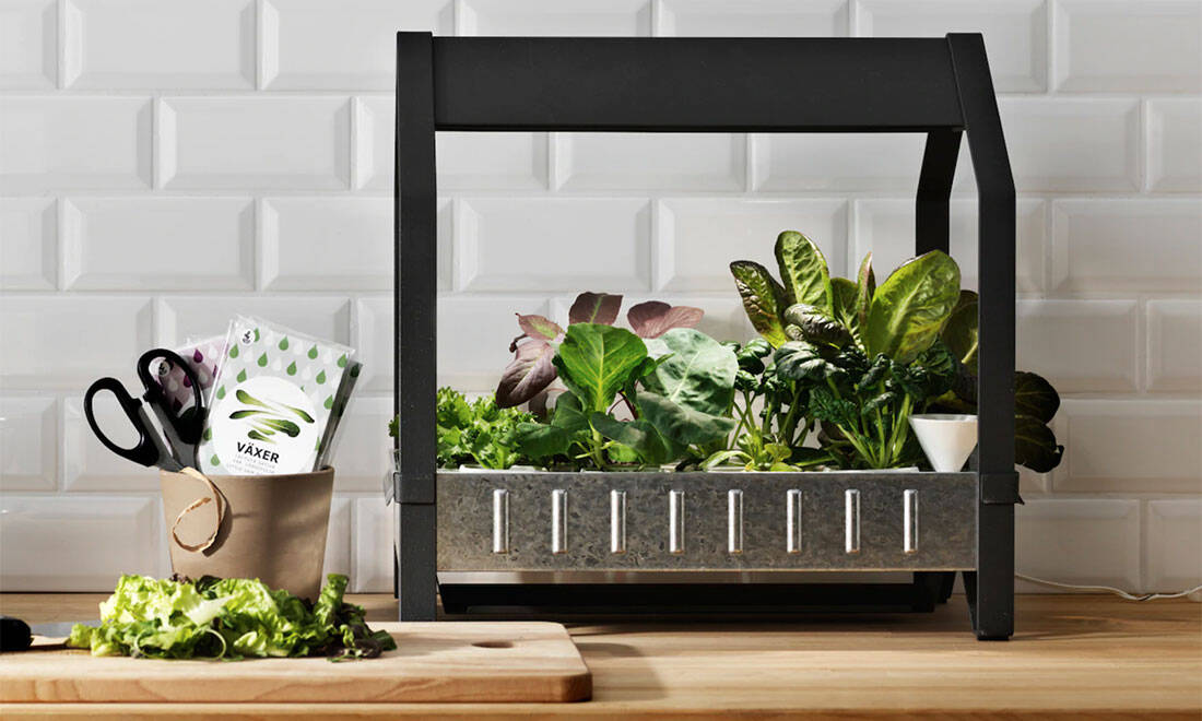 4 fördelar med odling utan jord