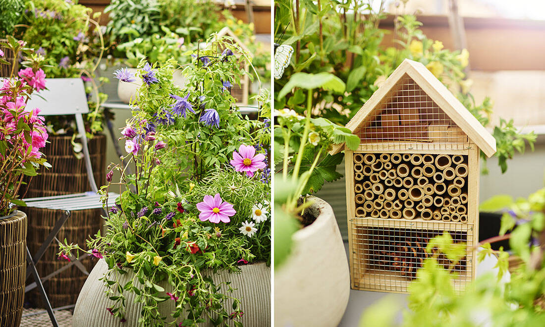 Hjälp trädgårdens bin i sommar – 8 viktiga tips