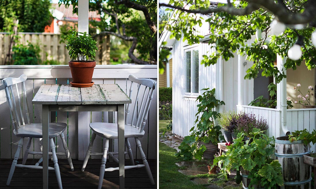 Så planerar du din köksträdgård – 5 tips