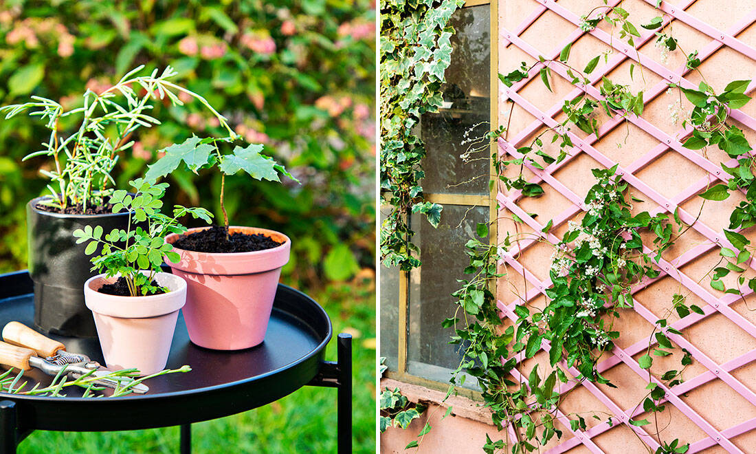 Uppdatera uteplatsen med färg – 6 enkla tips