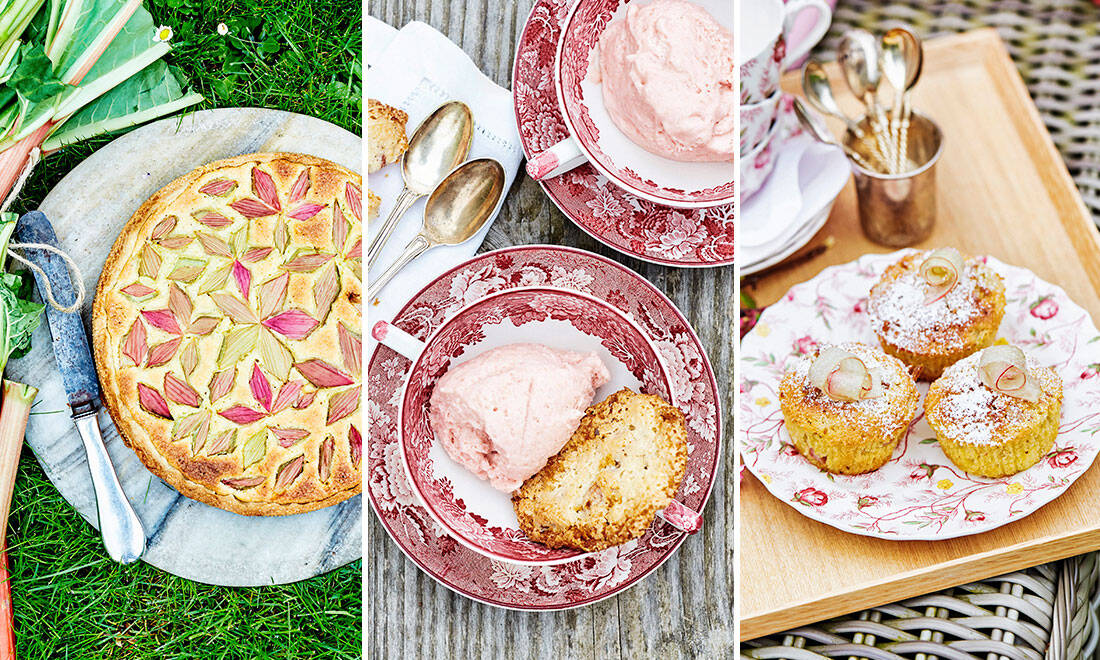 4 ljuvliga recept med rabarber