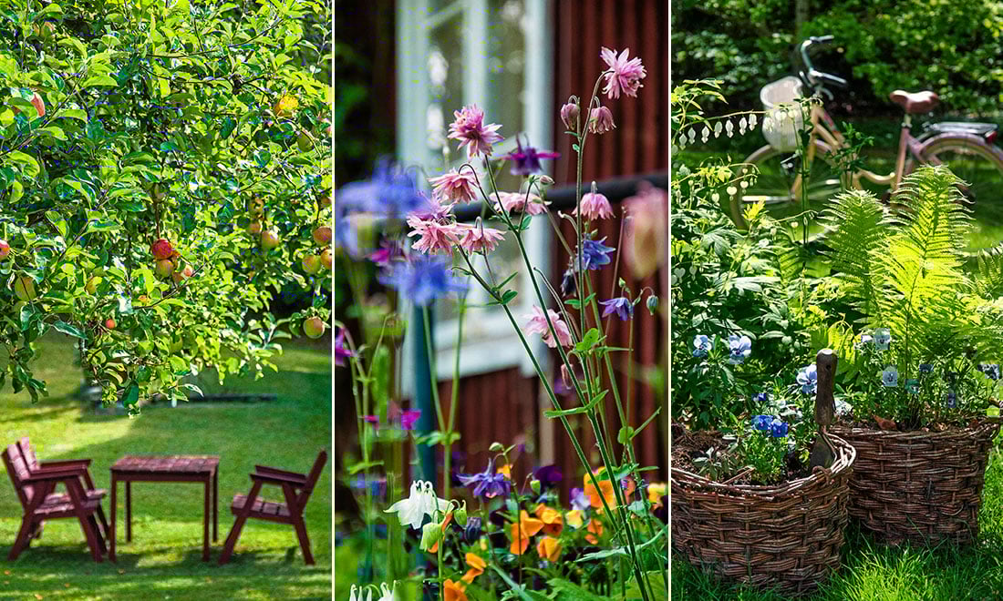 Så skapar du en lättskött och blomstrande trädgård