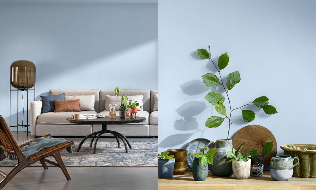 Så målar vi nästa år – här är årets kulör 2022