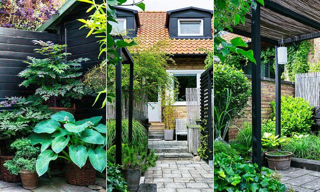 Pergola, bokashi och gömda rum i drömträdgården