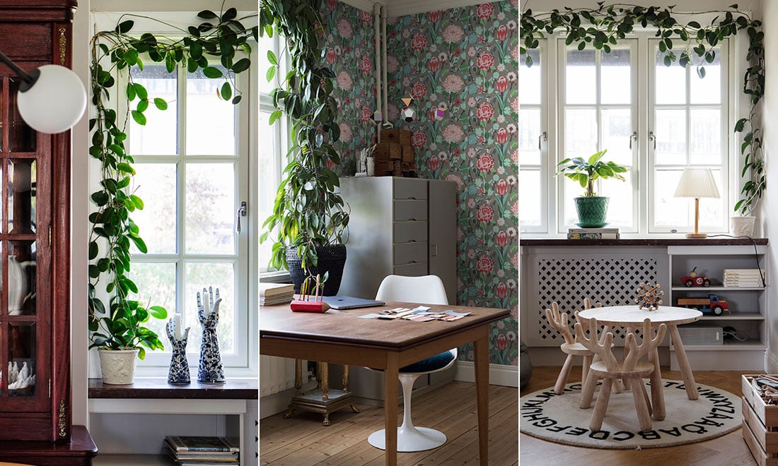 Gör din egen växtgardin – 5 tips för ett fint resultat