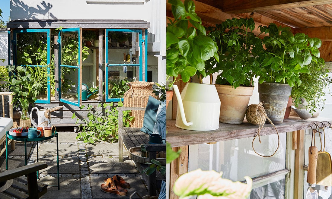 Så blev de gamla fönstren ett vackert växthus på hjul