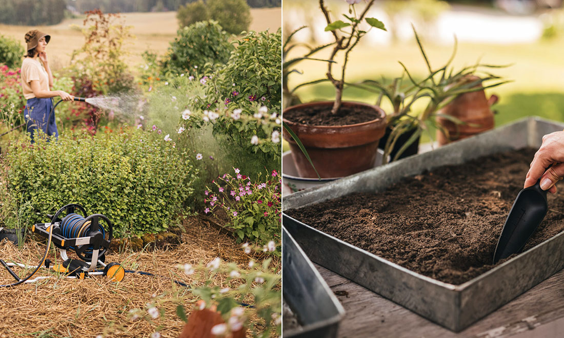 Skapa en trädgård för glada bin – 10 smarta tips