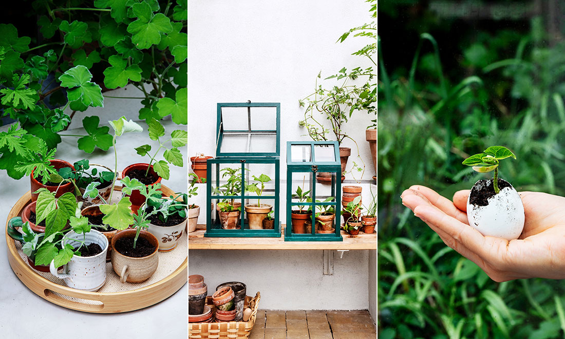 Gör det själv: 7 kreativa trädgårdspyssel