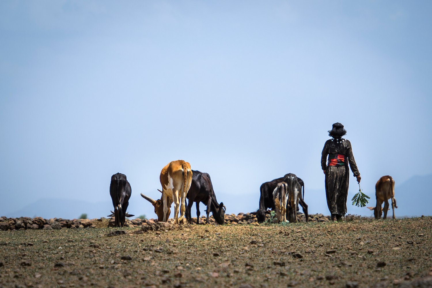 Så jobbar Act Svenska kyrkan mot fattigdom i världen