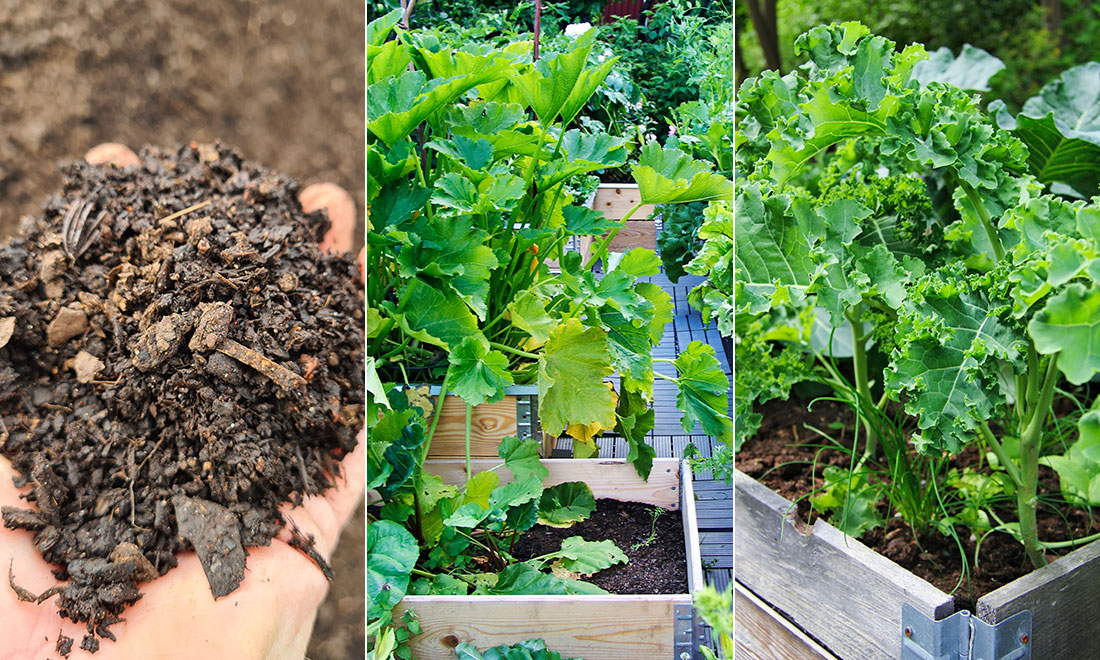 Odla din jord – så gör du